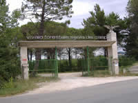 Campochiaro. L'ingresso del Vivaio regionale "Selva del Campo", dove avr luogo l'evento