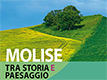 A partire dalle ore 17.00 si discuter� di "Stratificazioni nel paesaggio e nell'architettura"