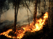 Prevenzione e lotta agli incendi boschivi