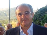 Gisnfranco Vitagliano