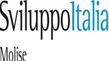 Sviluppo Italia