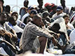Per Petraroia, oltre al programma nazionale dei richiedenti asilo,   opportuno esaminare la situazione complessiva dei migranti in Molise