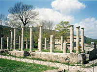 L'area archeologica di Altilia-Saepinum