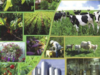 ll Progetto AGRO-START  finanziato dalla UE nell'ambito del Programma di Cooperazione Transnazionale Sud Est Europa