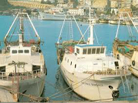 Aiuti per l'adeguamento dei pescherecci agli standard  di sicurezza e all'efficienza generale e per lo  sviluppo delle tecniche di acquacoltura in alternativa alla pesca tradizionale 