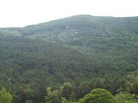 Uno scorcio di Monte Patalecchia, d'ora innanzi Riserva naturale 