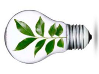 Coniugare la competitività con la sostenibilità ambientale e la coscienza ecologica