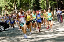 Percorso agonistico. Pensato per gli amanti della corsa e della natura incontaminata