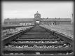 Per non dimenticare. Il 27 gennaio del 1945 i cancelli di Aushwitz furono abbattuti