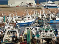 Coniugare il turismo a bordo dei pescherecci con quello della ospitalità sulla terra ferma
