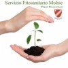 Fitosanitario