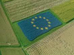 Agricoltura.L'Unione Europea punta sui sistemi innovativi