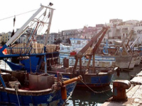 Essere un'impresa con sede legale ed operativa nella nostra regione che svolge attività di commercio al dettaglio di prodotti ittici freschi provenienti dal Mare Adriatico, è il requisito minimo per poter accedere al bando