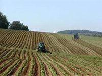 Risorse pari ad 1 Milione di Euro del Programma Attuativo Regionale (PAR MOLISE) a valere sul Fondo per lo Sviluppo e la Coesione (FSC,) destinate, agli imprenditori agricoli professionali