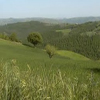 Tutela del paesaggio