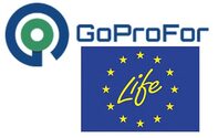 Progetto: GoProFor 